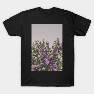 Wild Lilacs T-Shirt